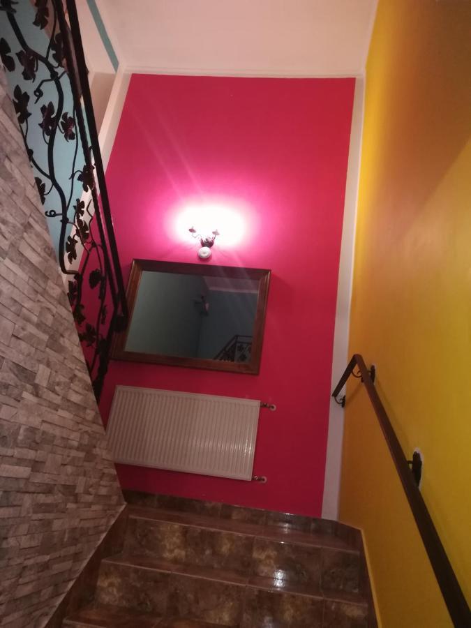 Hostel Los Amigos Rzeszów Kültér fotó